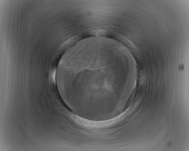 X0000097890047200804111030