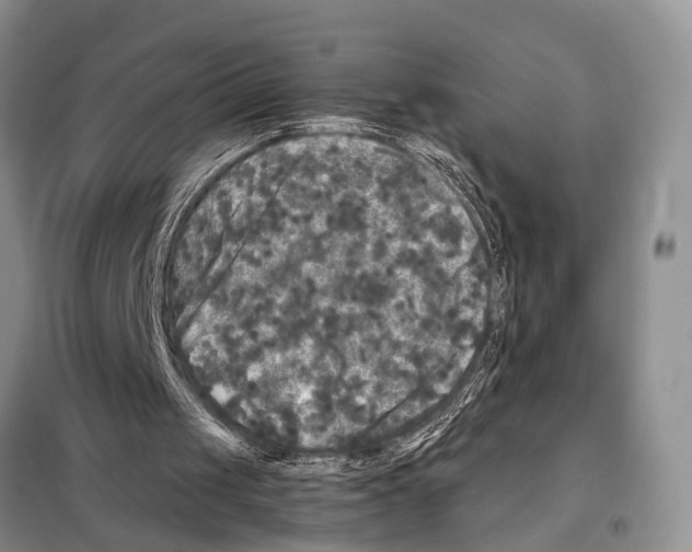 X0000097890049200804111028