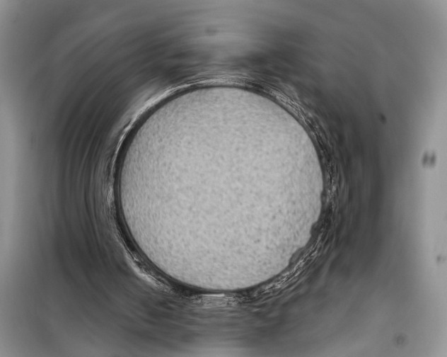 X0000097890050200804111029