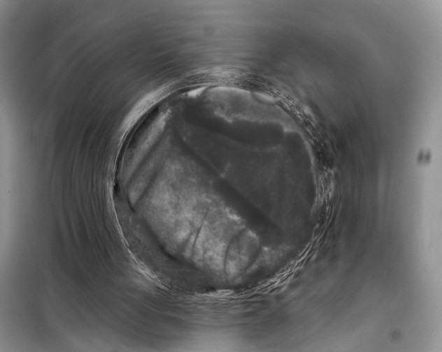 X0000097890051200804111029