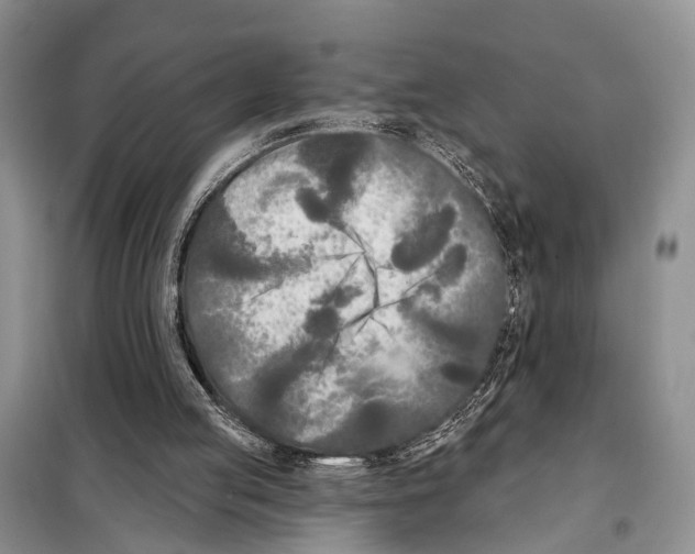 X0000097890053200804111029