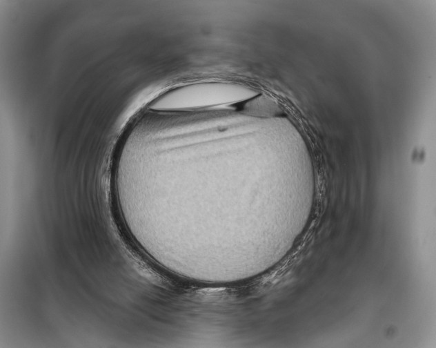 X0000097890054200804111029