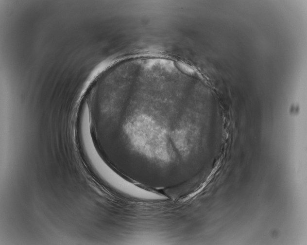 X0000097890056200804111029