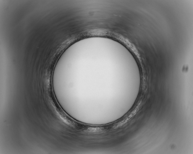 X0000097890057200804111029