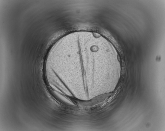 X0000097890058200804111029