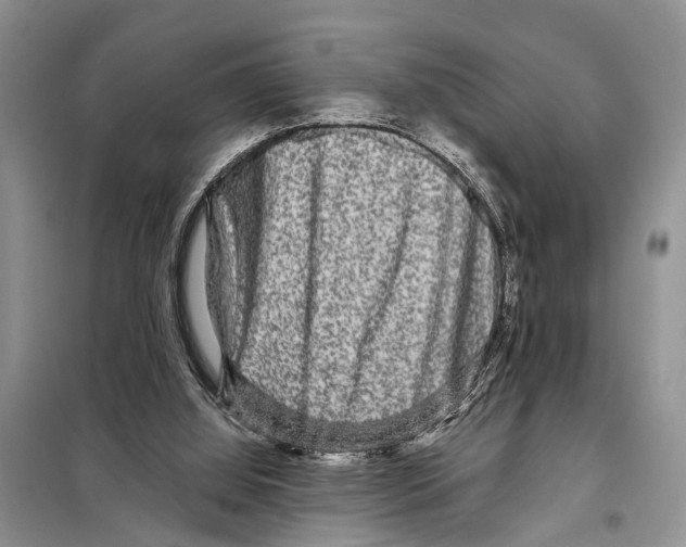 X0000097890060200804111029