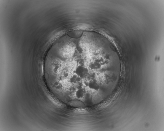 X0000097890061200804111029