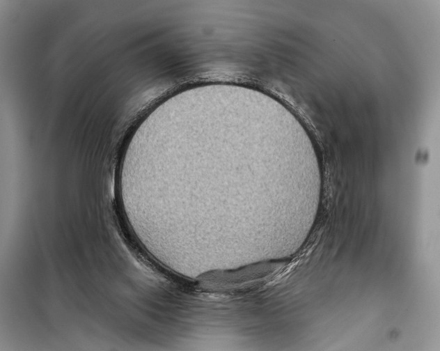 X0000097890062200804111029