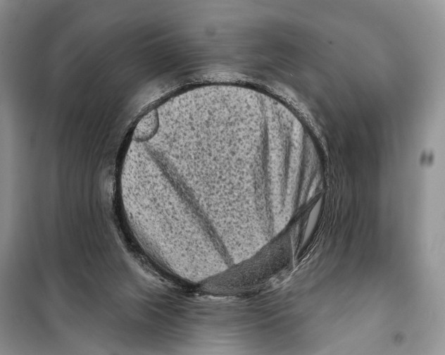 X0000097890063200804111029