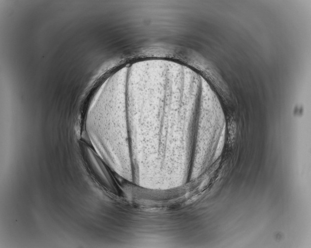 X0000097890064200804111029