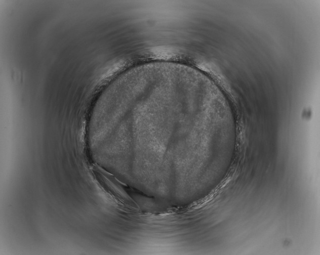 X0000097890066200804111029