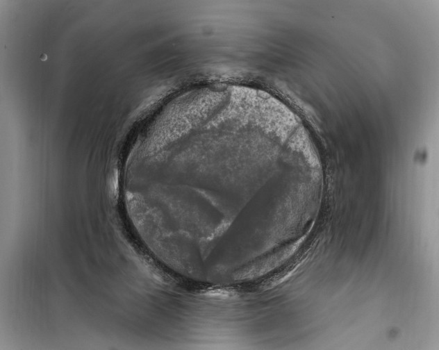 X0000097890067200804111029