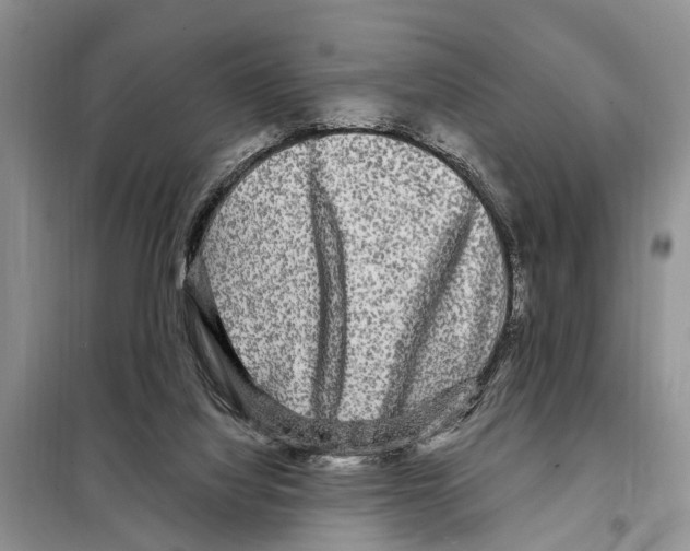 X0000097890068200804111029