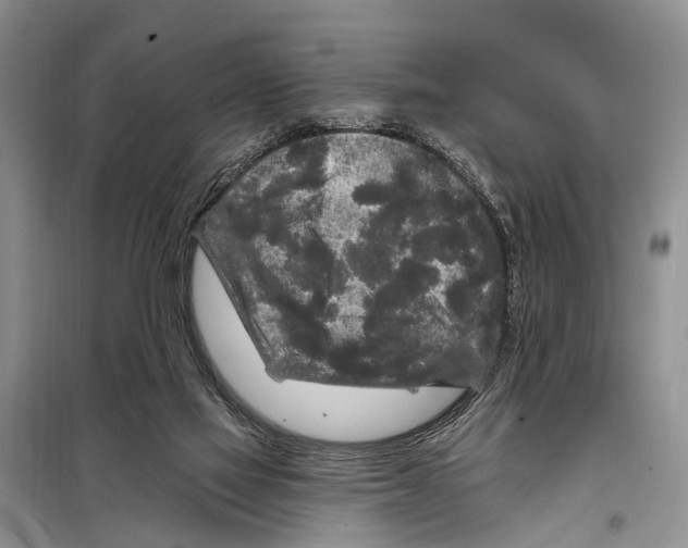 X0000097890069200804111029