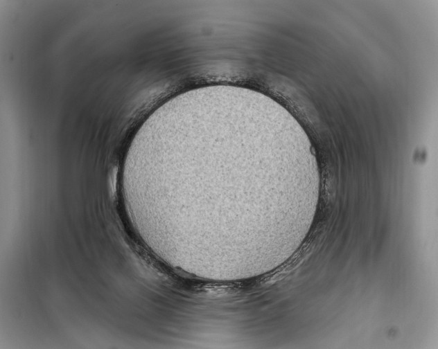 X0000097890070200804111029