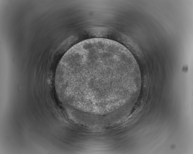 X0000097890073200804111029