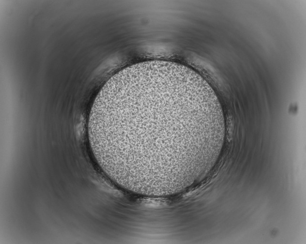 X0000097890077200804111029