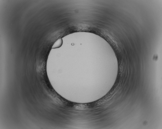 X0000097890079200804111029