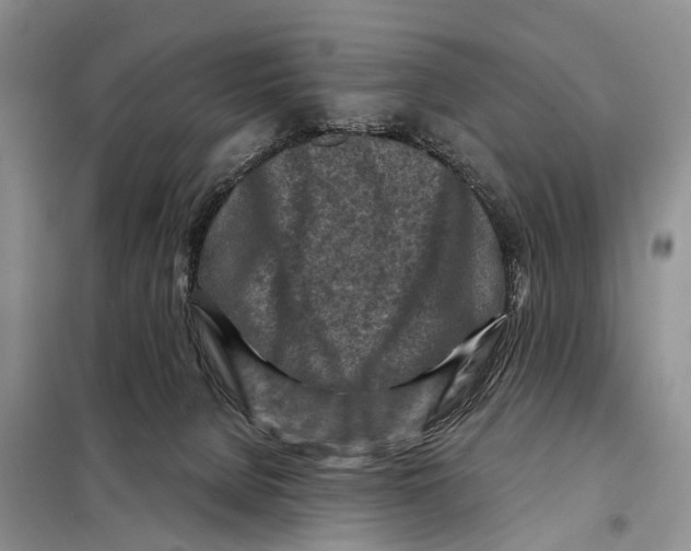 X0000097890080200804111029