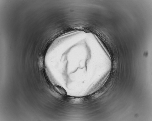 X0000097890081200804111029