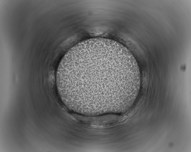 X0000097890085200804111029