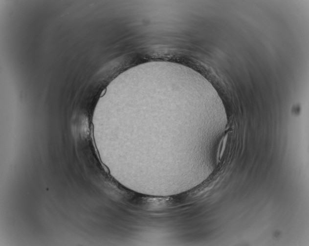 X0000097890089200804111029