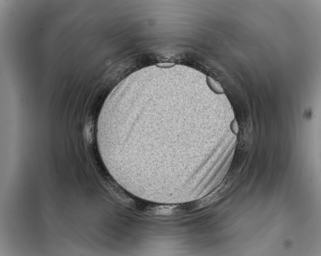 X0000097890090200804111029