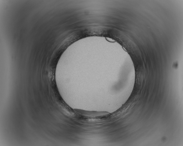 X0000097890091200804111029