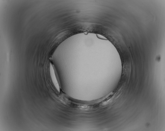 X0000097890092200804111029