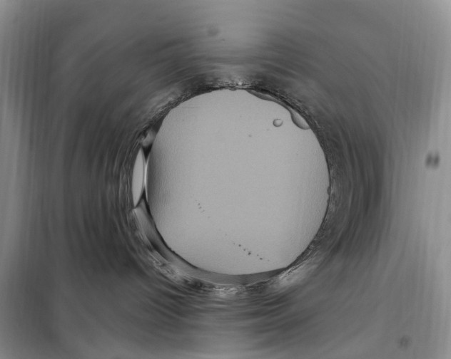 X0000097890096200804111029