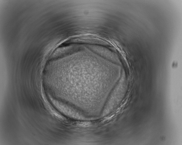 X0000097890097200804111028