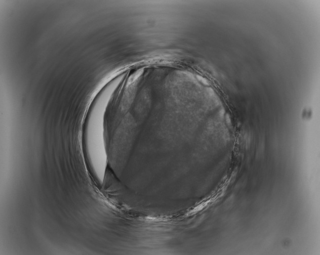 X0000097890100200804111028