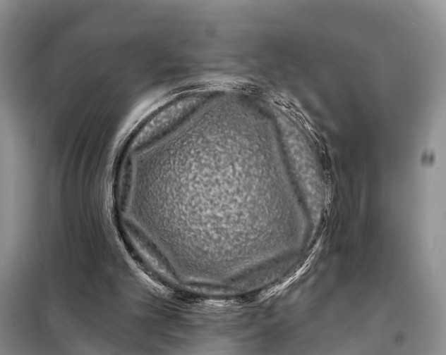 X0000097890101200804111028