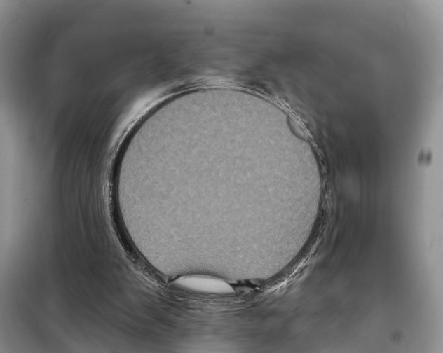 X0000097890103200804111028