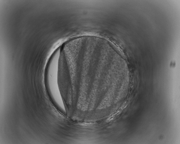 X0000097890104200804111028