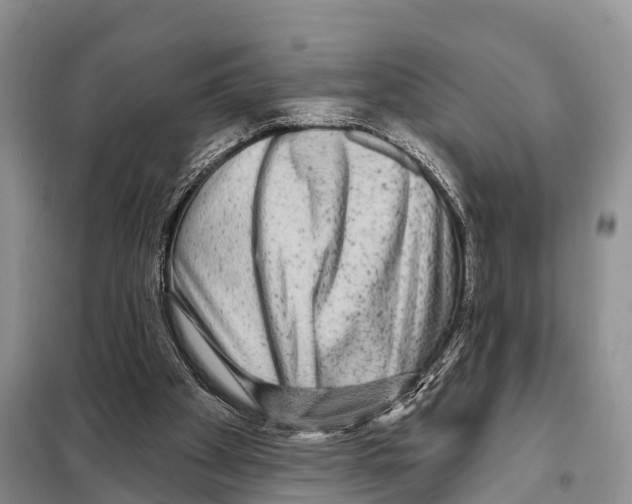 X0000097890105200804111028