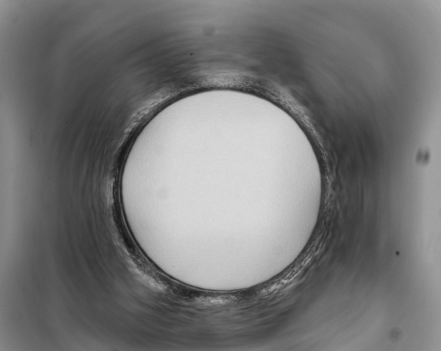 X0000097890106200804111028