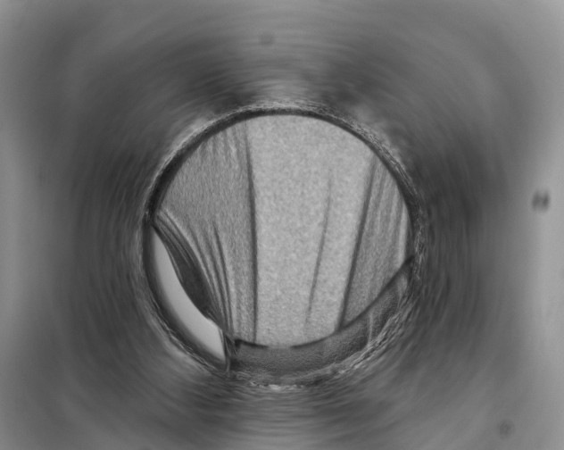 X0000097890108200804111028