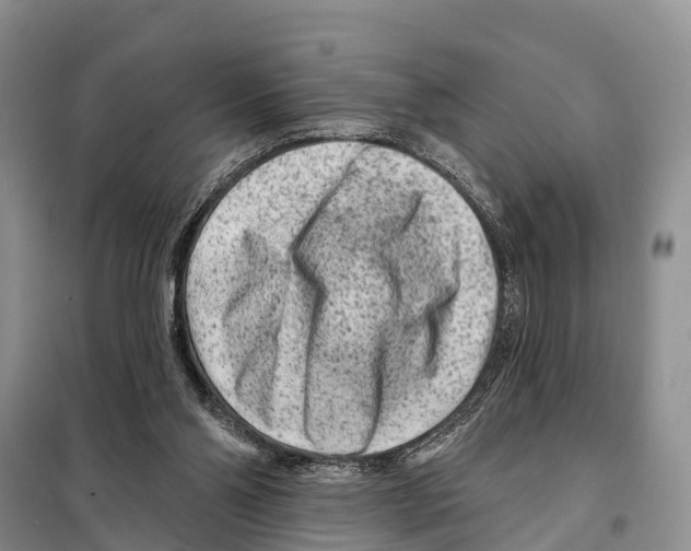 X0000097890110200804111028