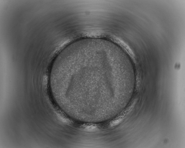 X0000097890113200804111028