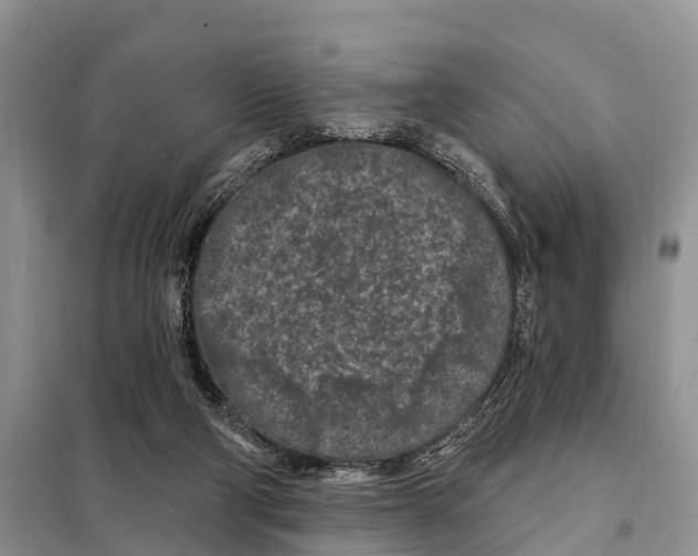 X0000097890114200804111028