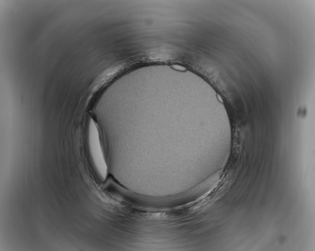 X0000097890116200804111028