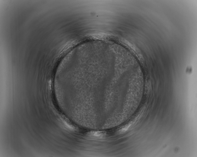 X0000097890117200804111028