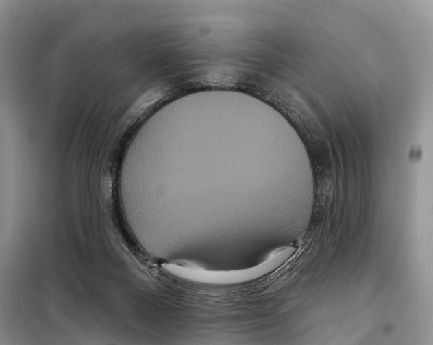 X0000097890120200804111028