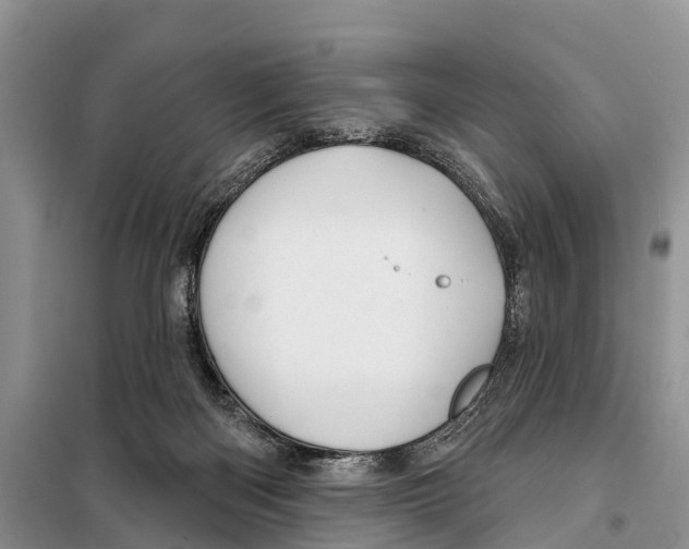 X0000097890122200804111028