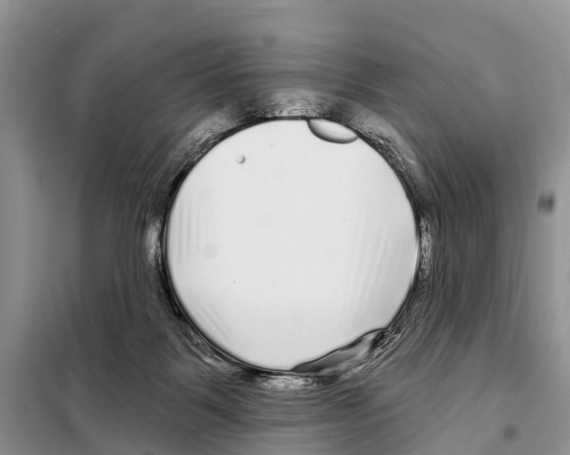 X0000097890123200804111028