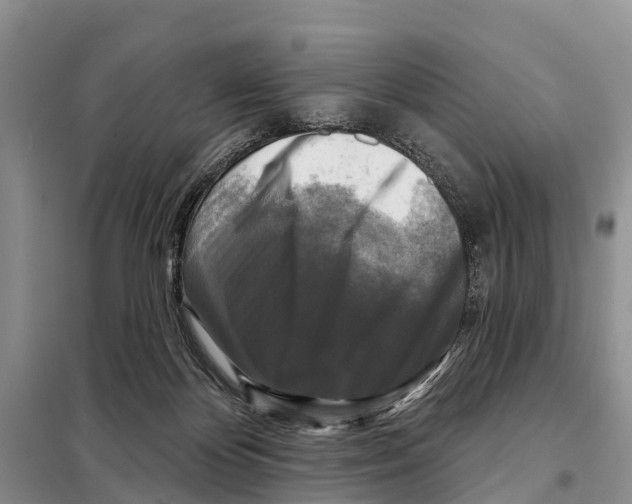 X0000097890124200804111028