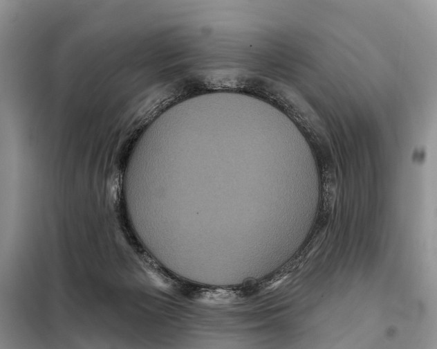 X0000097890125200804111028