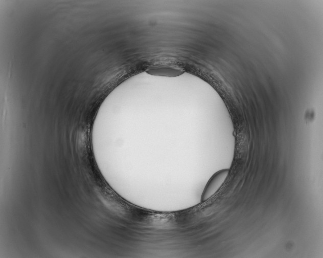 X0000097890126200804111028