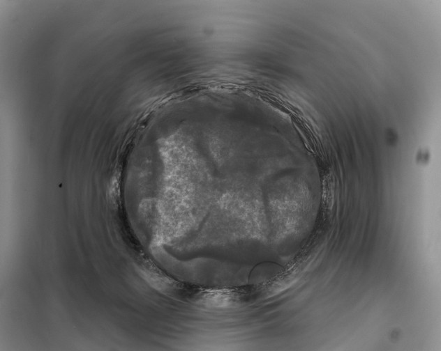 X0000097890127200804111028